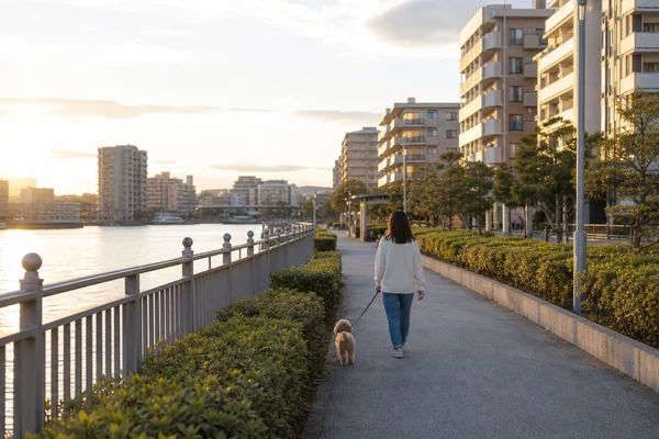 浦安市の風景